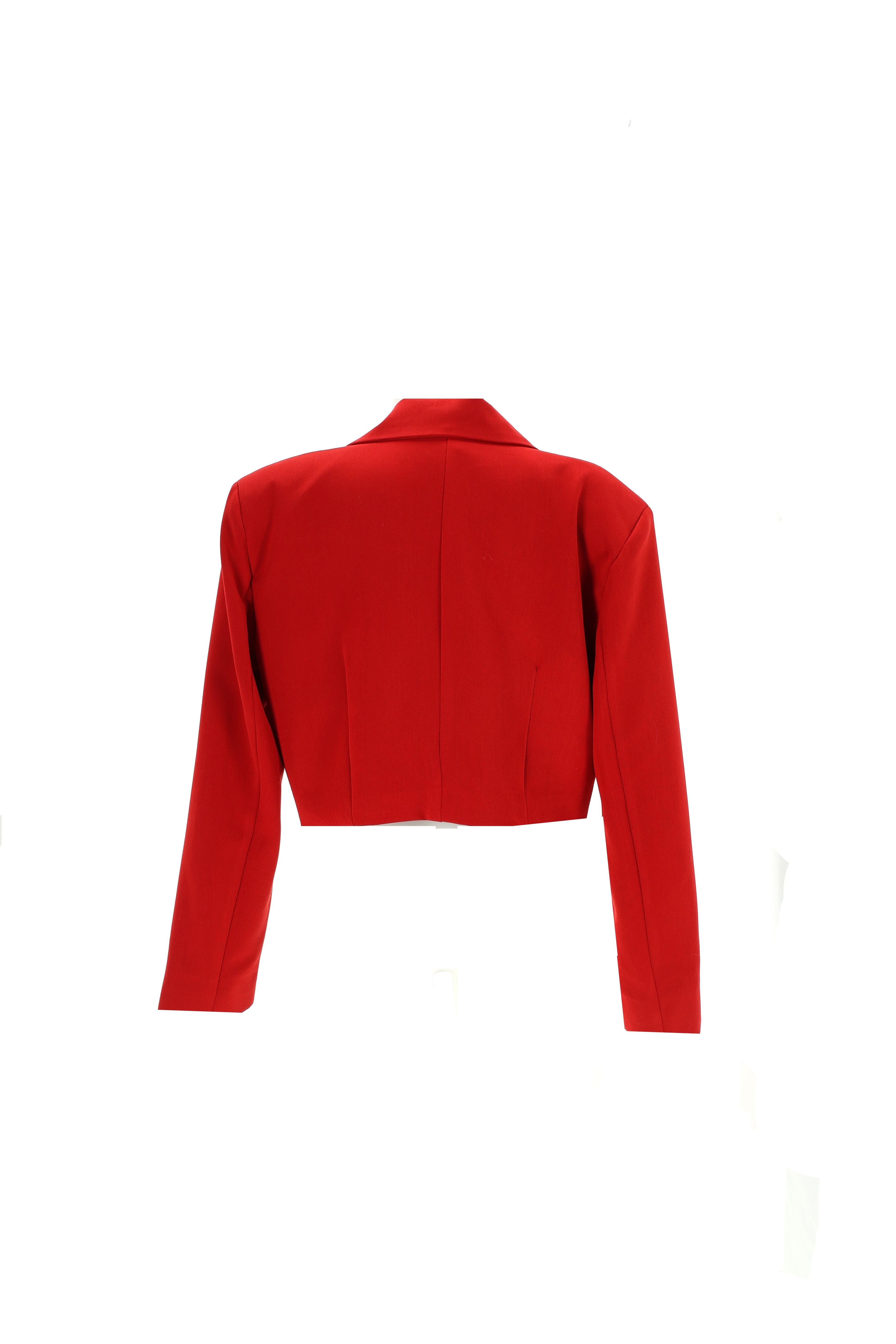 TRUMPAS ŠVARKAS SU ATLASO DETALE