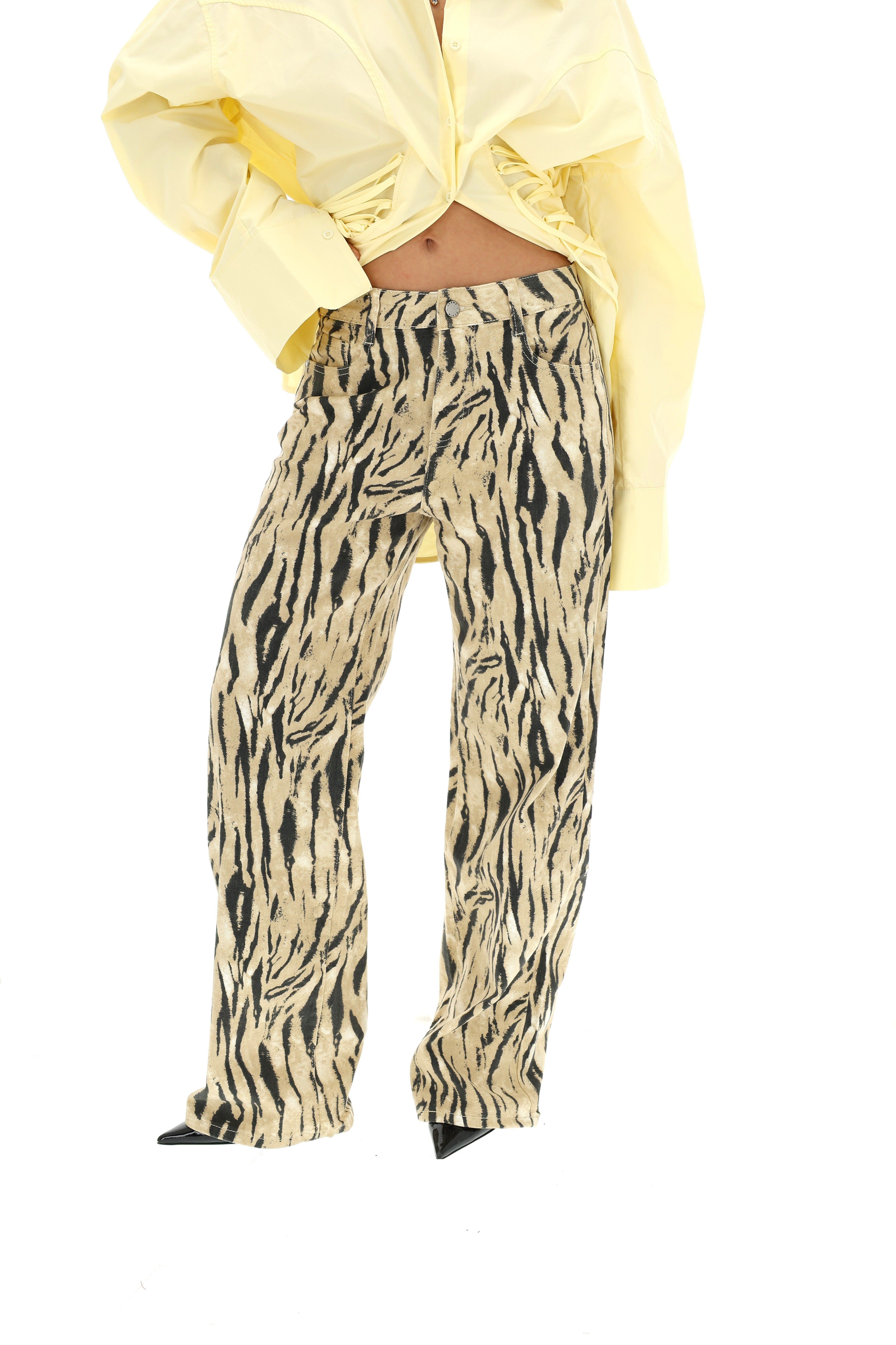 TIESŪS DŽINSAI ZEBRA