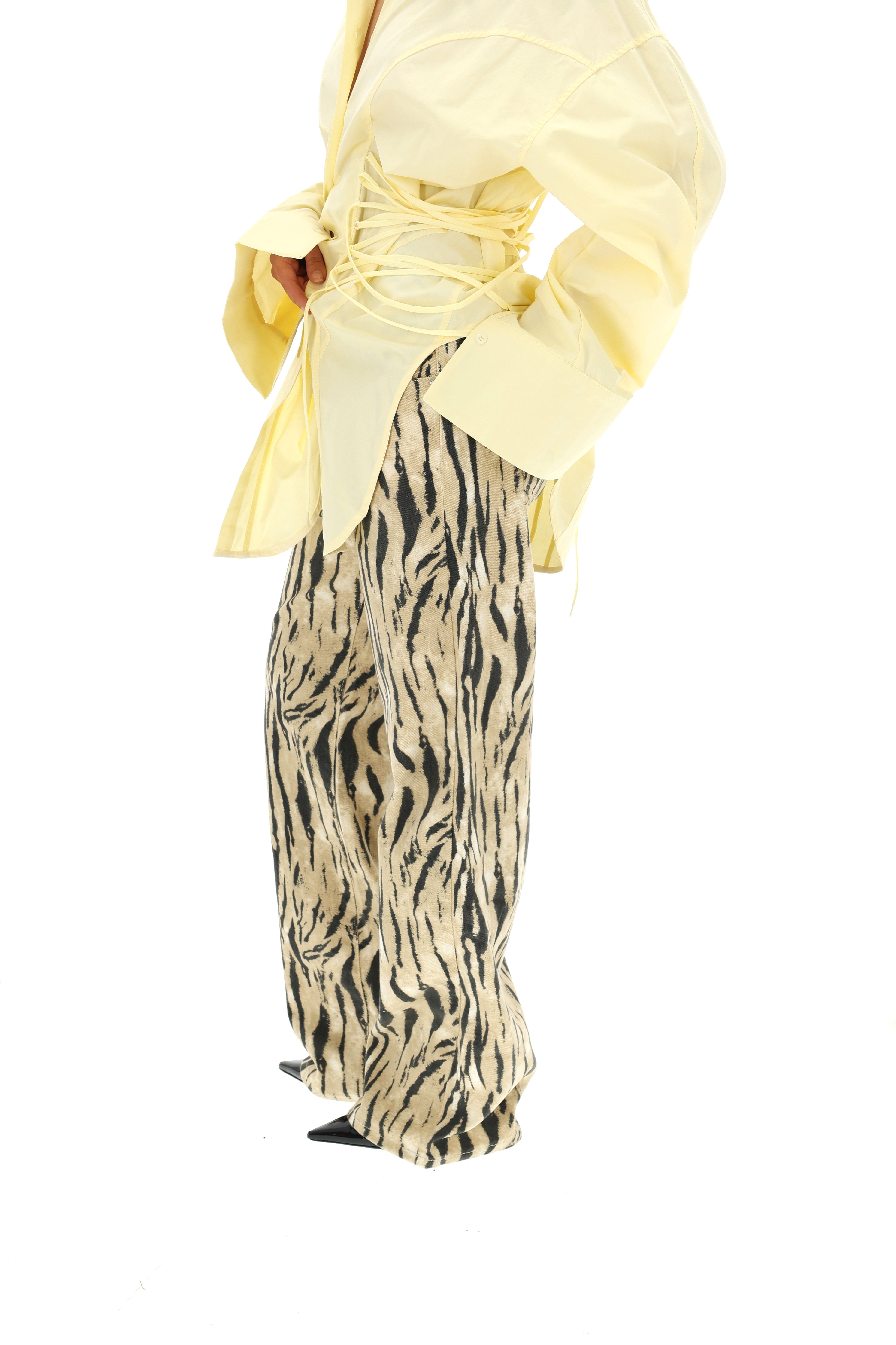 TIESŪS DŽINSAI ZEBRA