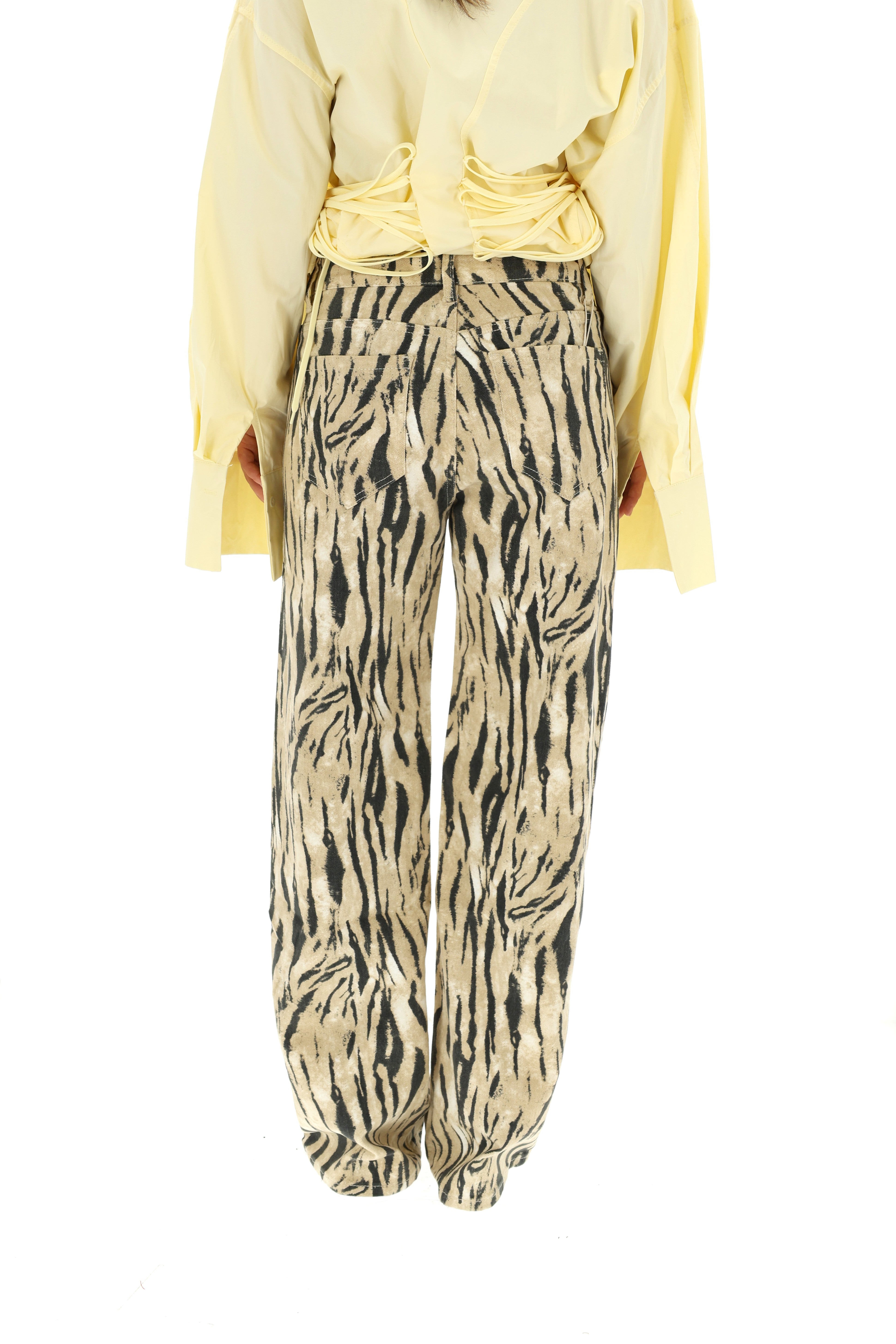 TIESŪS DŽINSAI ZEBRA