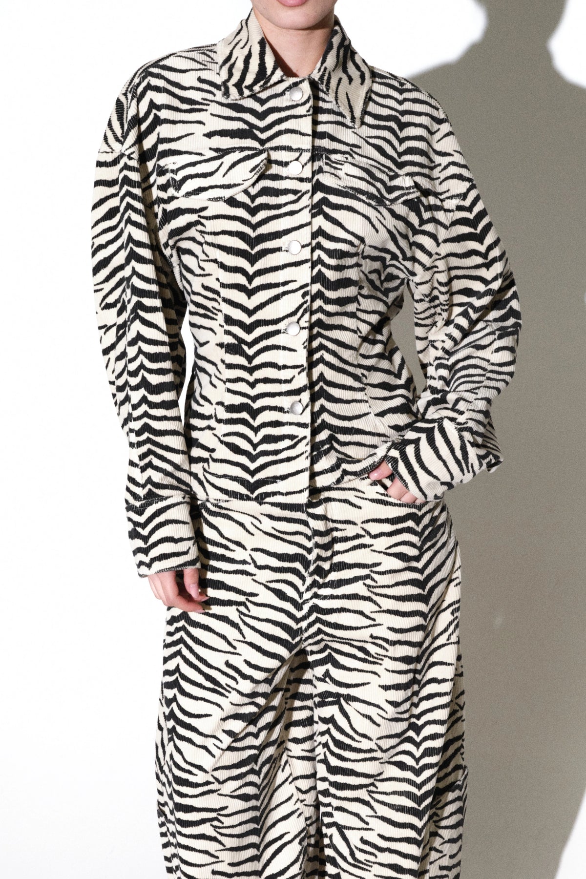 ZEBRA LIEMENUOTAS ŠVARKELIS