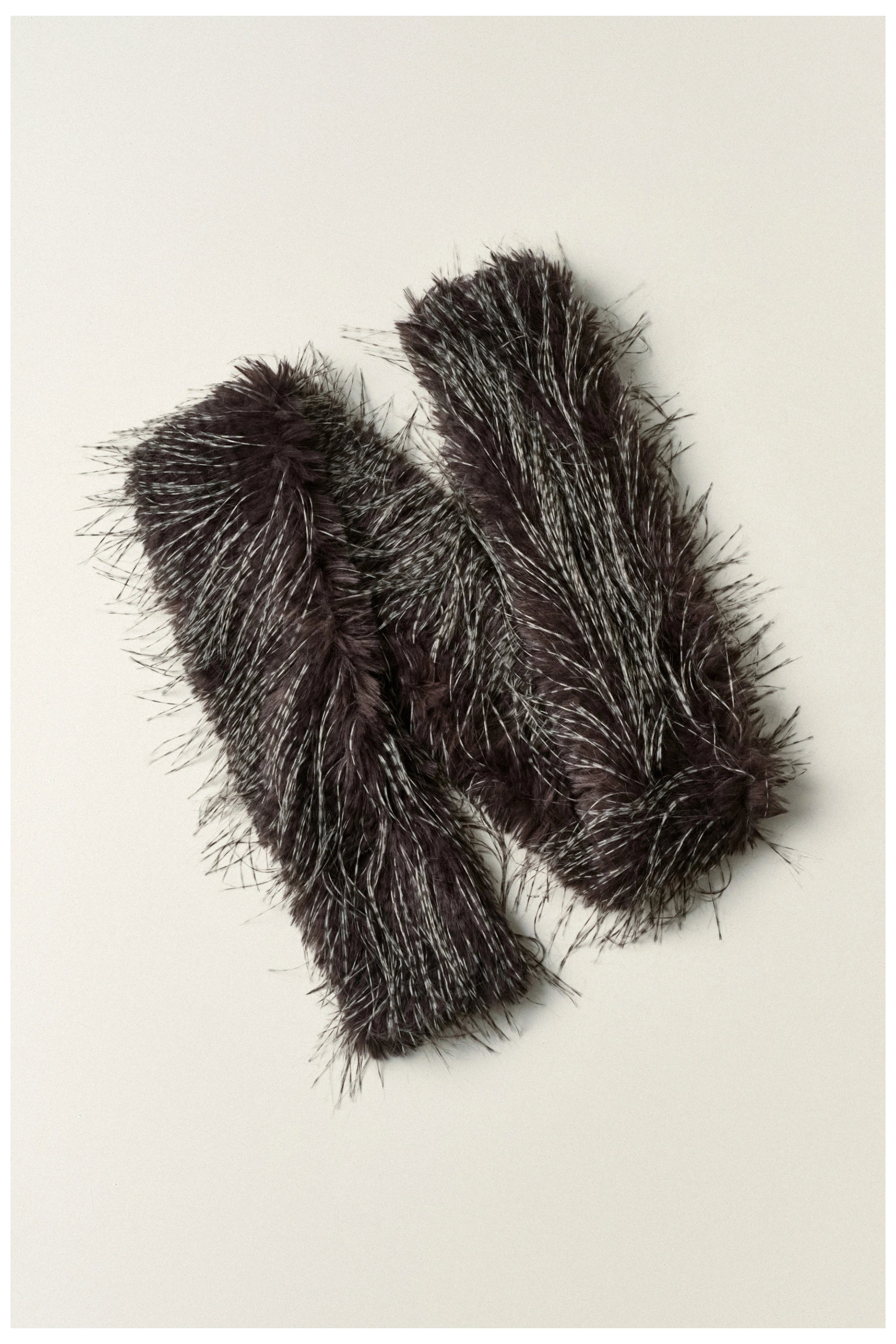 ŠALIS FEATHER