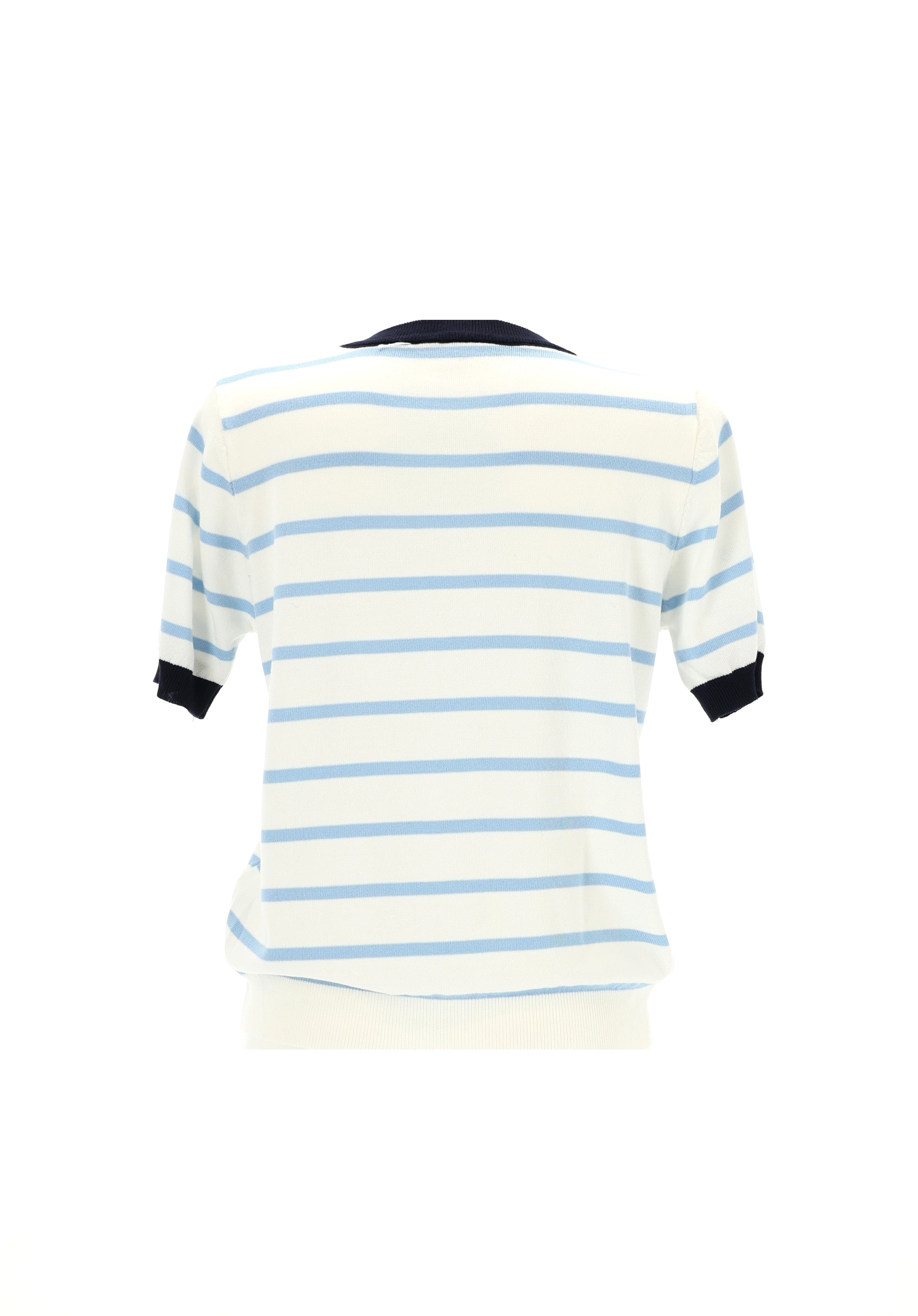 DRYŽUOTA PALAIDINĖ TRUMPOMIS RANKOVĖMIS ŽYDRA