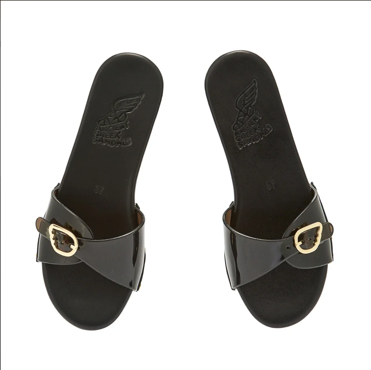 CLOG OMONIA JELLY BLACK